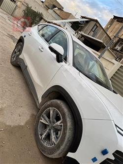 جیتۆر داشينگ